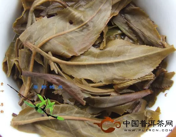 大樹(shù)料紅變?nèi)~底