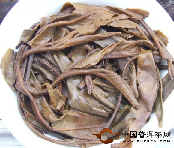 易武茶葉底