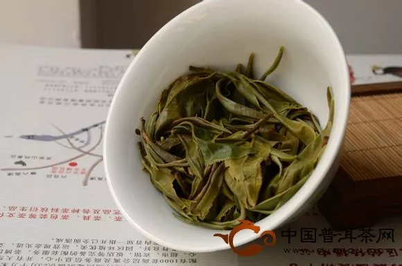 2012年春茶葉底