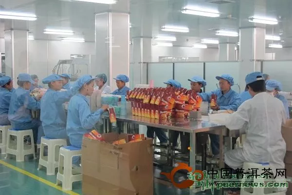 天士力帝泊洱生物茶集团产业基地