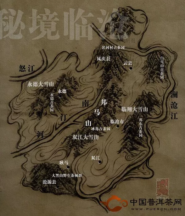 临沧古茶园