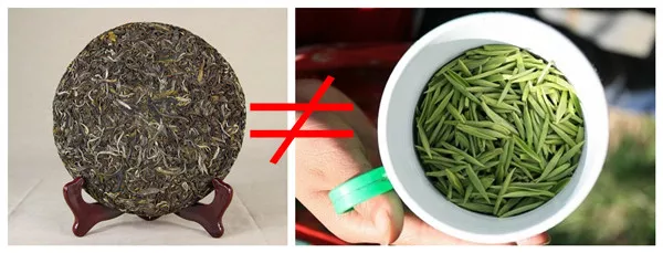普洱茶新生茶是绿茶吗？