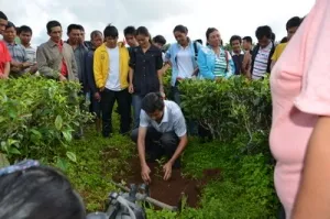 勐海县勐阿镇举办生态茶园建设暨茶樟间作现场推进会