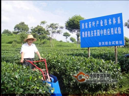 肖宏儒研究员到普洱站指导“微耕机在茶园中的应用”技术