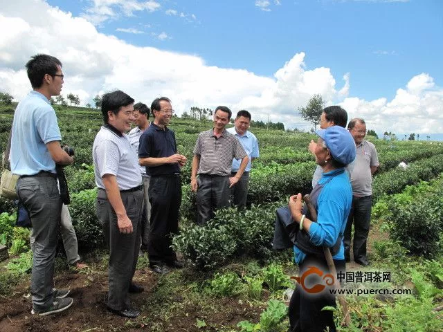 农业部调研组到云南调研茶产业发展情况