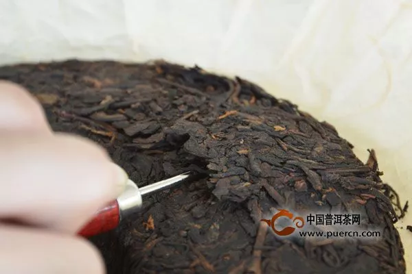 偶然相遇的美：澜沧古茶