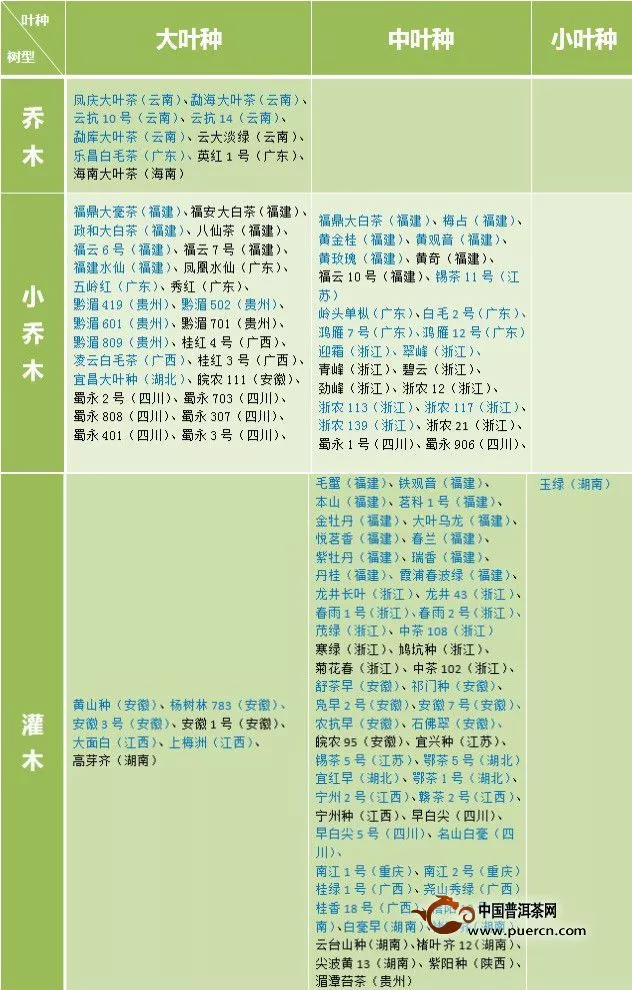 一张表了解国家级茶树良种的树型及叶种