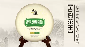 楊聘號(hào)古樹茶王總量2000餅將于近期上市