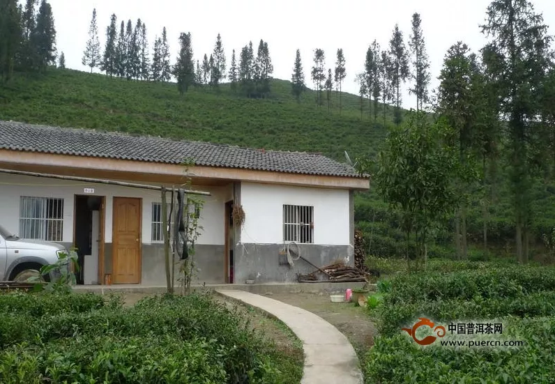 云南省农业厅等人验收标准茶园建设