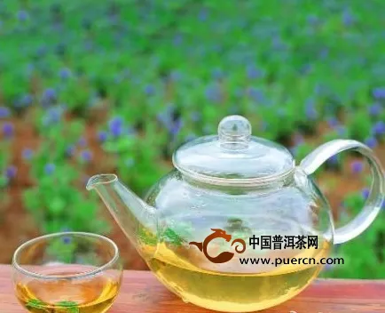 普洱茶连连看之九十九：健康饮茶