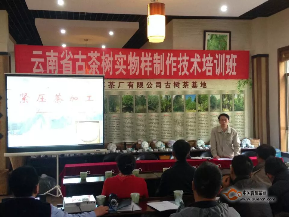 云南六大茶山茶业受邀作为云南普洱茶企业包装培训教学单位