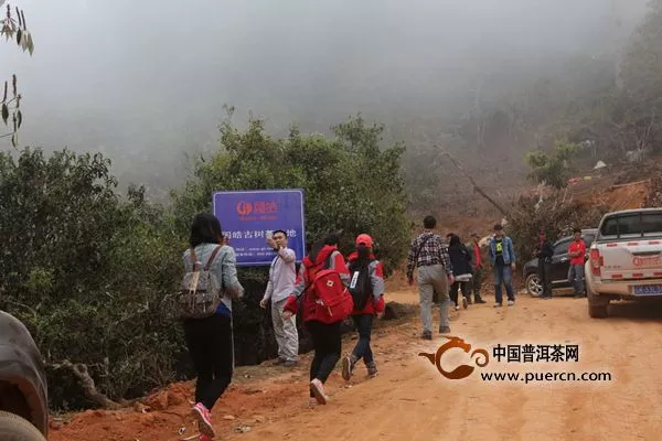 勐海國(guó)皓茶人茶山行之勐宋茶山