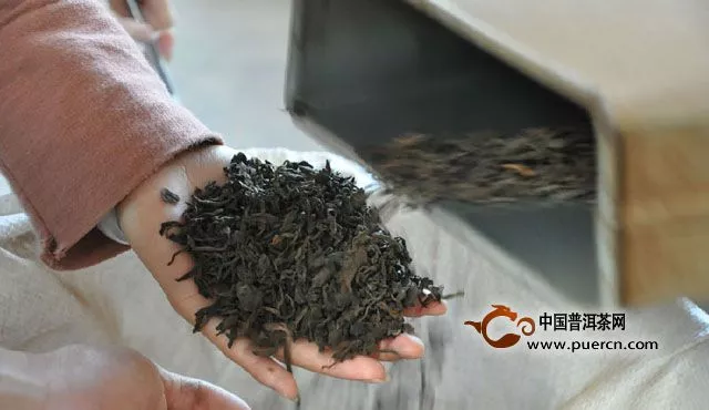 杨聘号春茶直播间：茶叶是怎样炼成的·茶厂篇