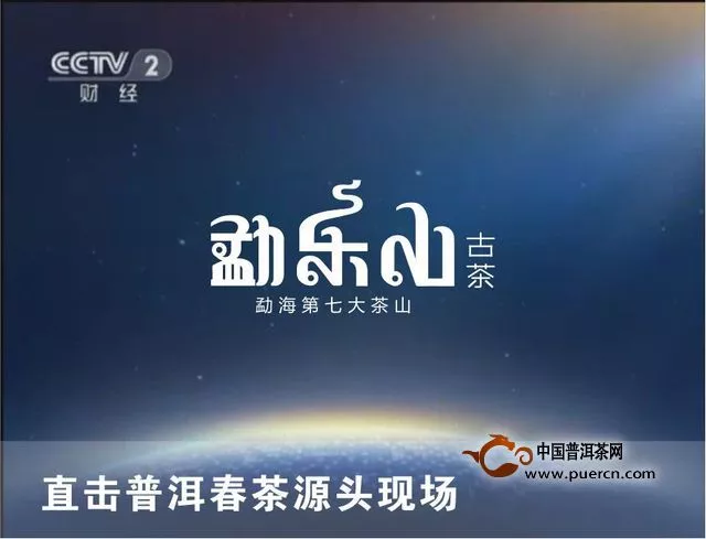 【图阅】央视CCTV2携手勐乐山直击普洱春茶源头现场