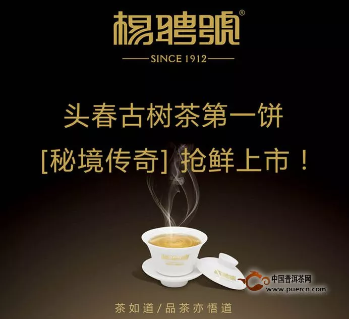 楊聘號(hào)頭春古樹(shù)茶“秘境傳奇”即將上市