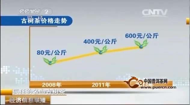 云南古树茶价格大涨，最高每公斤两万元 