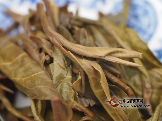 普洱茶兩派主流系之一易武普洱茶