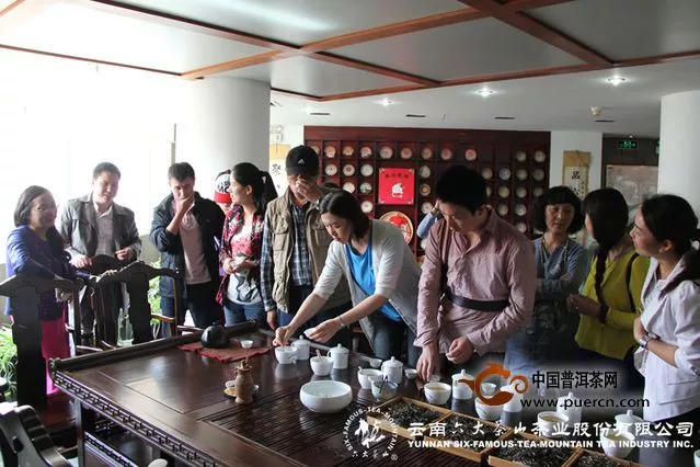 河南省茶文化研究会马哲峰教授一行莅临六大茶山座谈考察
