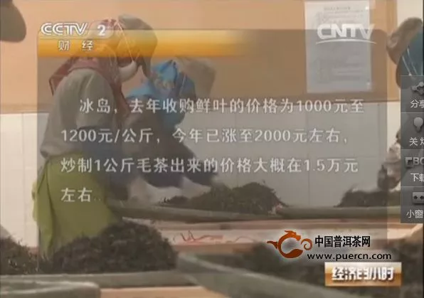 【CCTV2】普洱疯抢老树茶，品饮消费市场才是出路