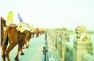 “重走茶叶之路”骆驼队抵达卢沟桥