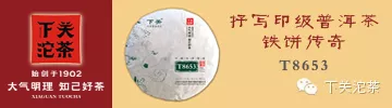 下关沱茶新形象、新体验亮相第九届中国云南普洱茶博会