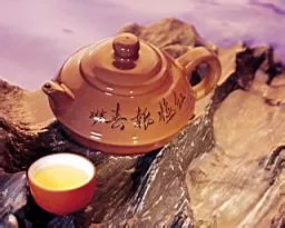 普洱茶连连看之一百五十六："泡茶"
