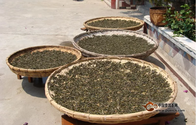古茶树资源的调查统计可开发利用的古茶树104株
