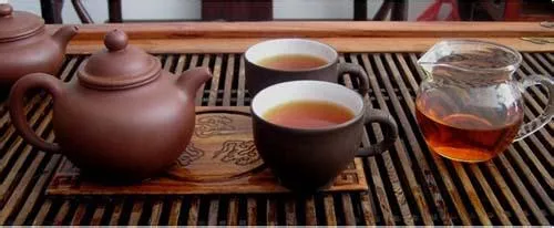 普洱茶连连看之一百六十六：普洱茶"茶多酚"