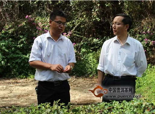 中国农业大学党委统战部部长到滇红集团调研