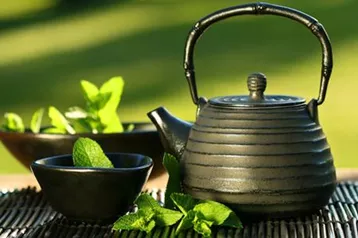 普洱茶连连看之一百八十三：普洱茶"酸菜气 "
