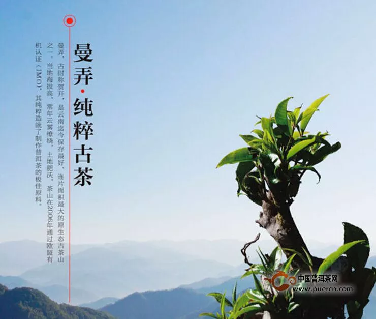 瀾滄古茶“名山名品”之曼弄?純粹