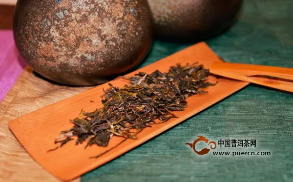 瀾滄古茶春億，記憶深處的味道