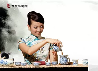 大益茶道与基础茶式