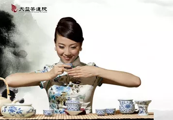大益茶道与基础茶式