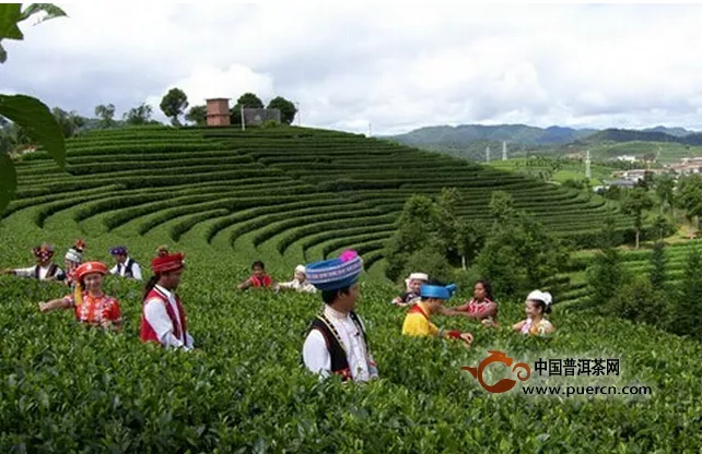 普洱：一座因普洱茶而聞名世界的城市