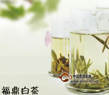 福鼎白茶與安吉白茶的區(qū)別