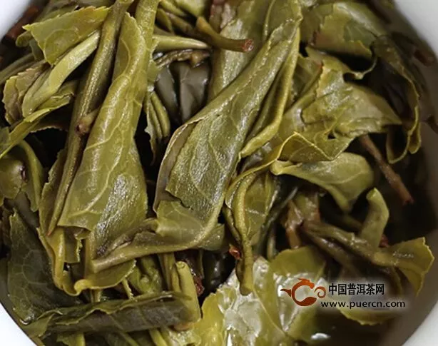 【喝茶說茶】分享2014老同志 帕沙古樹 生開湯