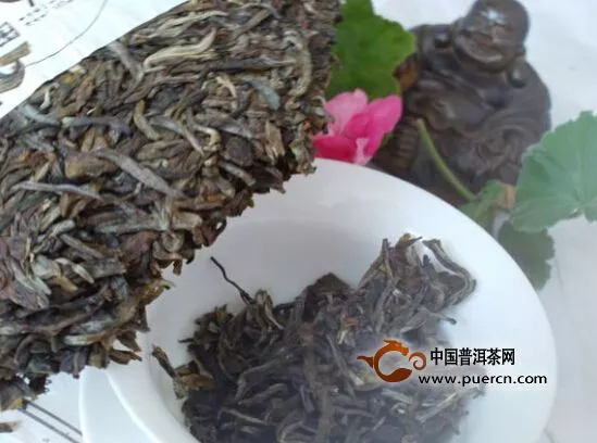 茶為何物？一片樹葉而已