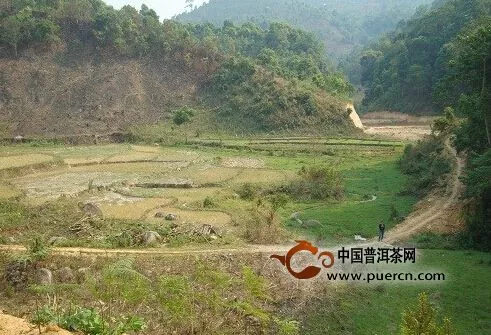 茶驢帶你游茶山之（四）撥瑪深深深幾許 