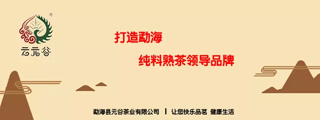 云元谷——打造勐海纯料熟茶领导品牌