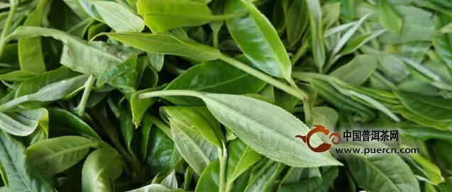   正品台湾茶价格一向高昂，将劣质的茶叶冒充台湾茶销售