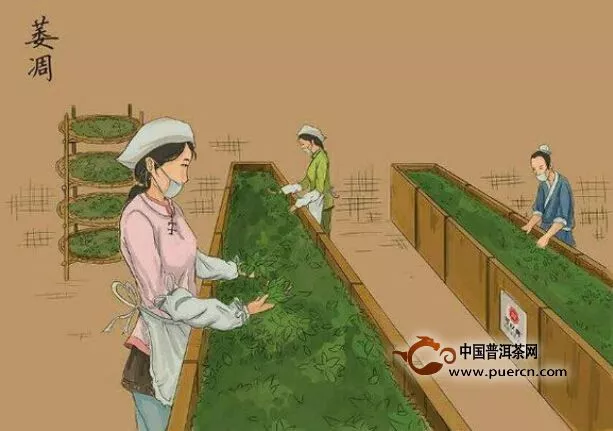 【图阅】一个茶农的制普洱茶程序