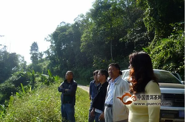 忠茶君與您分享：秋茶小組茶山行——翻山越嶺，只為好茶！