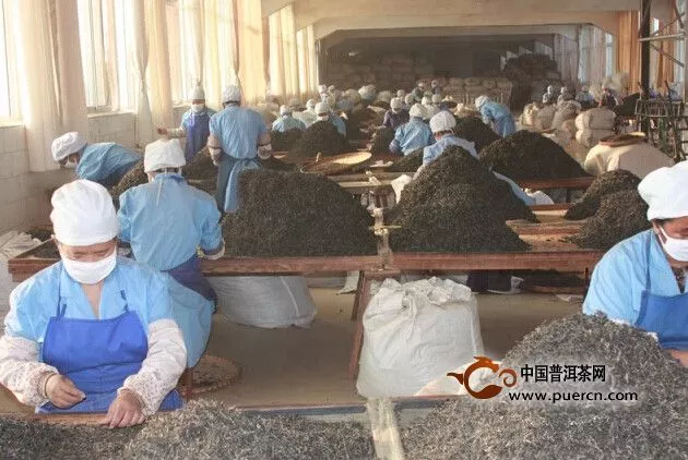 又是一年秋茶季，戎氏在忙什么呢？