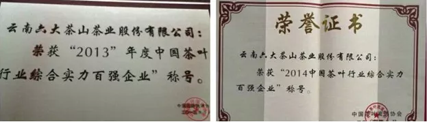 六大茶山再次荣获“中国茶叶行业百强企业” 