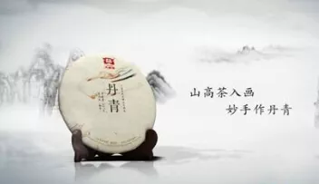 【商家微語】普洱茶的審評應注重內質