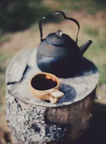 麻黑古树普洱茶——易武的代表茶