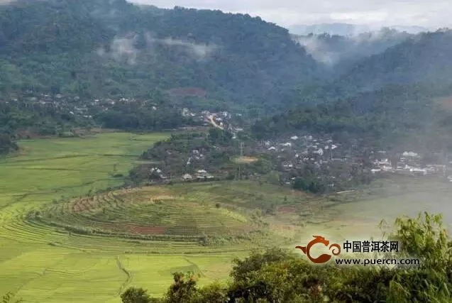 普洱茶巴達(dá)與勐宋的滋味