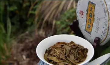普洱茶发展的“妖道”
