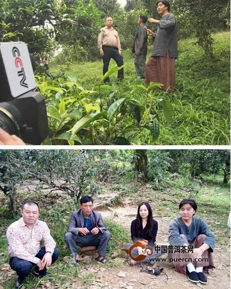 《中國財經報道》“震后普洱追蹤”之蔡金華的班章情